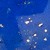 Lapis