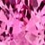 Pink Sapphire