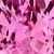 Pink Sapphire
